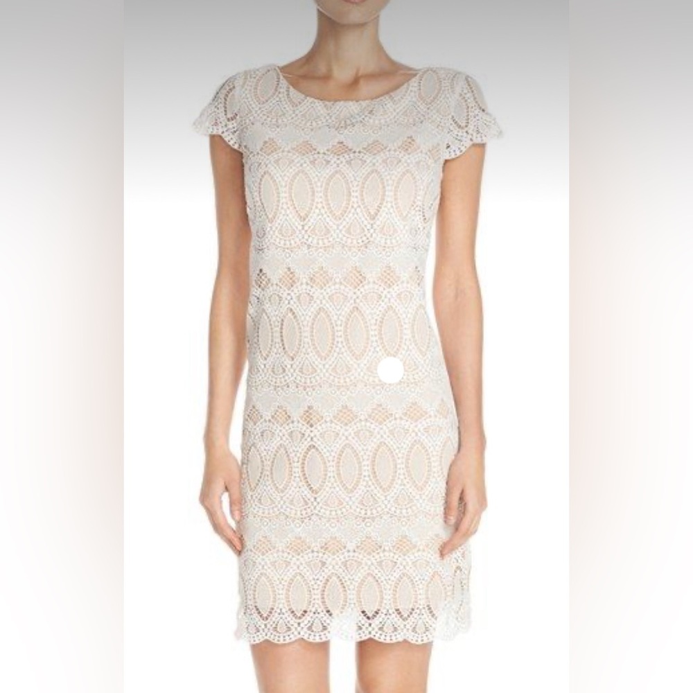 NWT White Lace Sheath Dress Eliza J Fully Lined Zip Up Back Size 8 Nordstrom